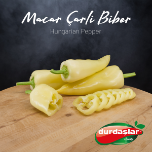 Biber Macar Çarliston Konik