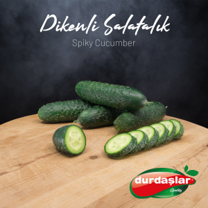 Salatalık Dikenli